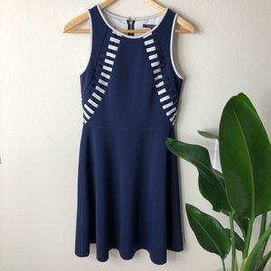 Rachel Roy Navy Skater Style Dress Size 6